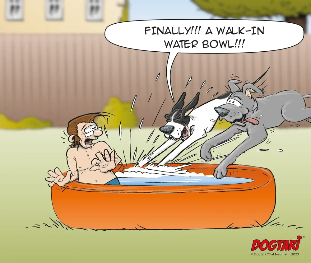 Cartoon: two Great Danes jump into a man’s paddling pool, speech bubble: Finally!!! A walk-in water bowl!!!