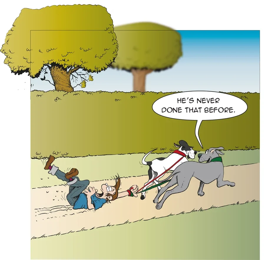 Cartoon: two Great Danes drag their owner along the path on the leash, speech bubble: He’s never done that before.