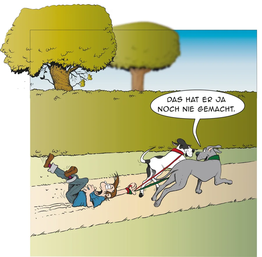 Cartoon: Zwei Doggen ziehen ihr Herrchen an der Leine über den Weg, Sprechblase: Das hat er ja noch nie gemacht.
